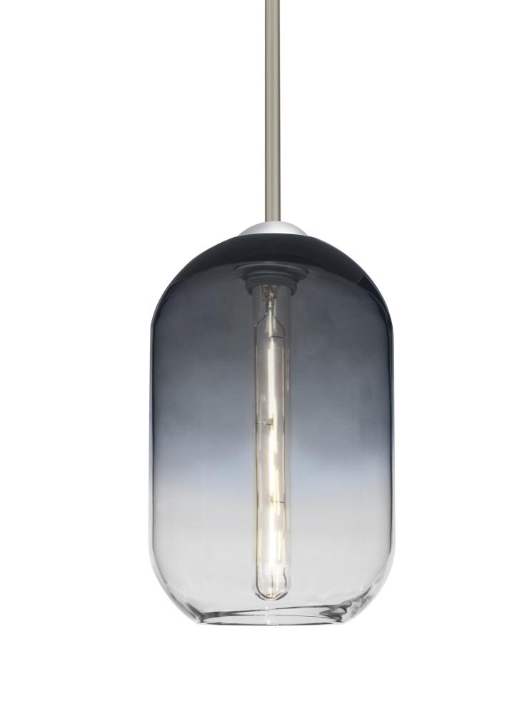 Besa, Omega 12 Stem Pendant, Steel/Clear, Satin Nickel Finish, 1x4W LED Filament