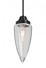 Besa Lighting 1JC-SULUCL-BK - Besa, Sulu Cord Pendant, Clear Bubble, Black Finish, 1x60W Medium Base