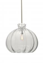 Besa Lighting 1TT-464588-EDIL-SN - Besa Stem Pendant Pinta 12 Clear Satin Nickel 1x8W LED Filament