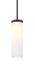 Besa Lighting 1TT-FRIZOG-BK - Besa Friz Stem Pendant