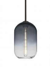 Besa Lighting 1TT-OMEGA12ST-EDIL-BR - Besa, Omega 12 Stem Pendant, Steel/Clear, Bronze Finish, 1x4W LED Filament