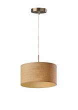 Adesso 4001-21 - Harvest Pendant