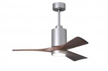 Ceiling Fans with Light