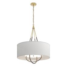 Hubbardton Forge 104230-SKT-86-05-SJ2811 - Loop Pendant