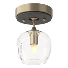 Hubbardton Forge 121372-SKT-84-20-ZM0709 - Ume 1-Light Semi-Flush