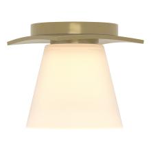  126601-SKT-86-GG0242 - Wren Flush Mount