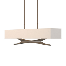 Hubbardton Forge 137655-SKT-LONG-05-SE4298 - Moreau Pendant