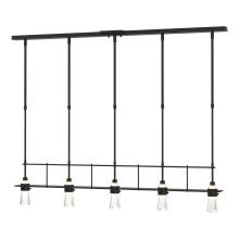 Hubbardton Forge 137725-SKT-STND-10-ZM0343 - Erlenmeyer 5 Light Pendant