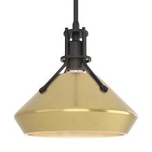 Hubbardton Forge 184251-SKT-MULT-10-86 - Henry with Chamfer Pendant