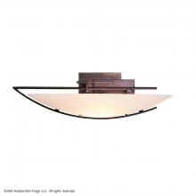 Hubbardton Forge 207380-SKT-LFT-05-GG0090 - Oval Ondrian Sconce