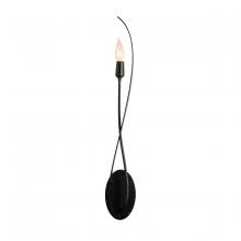  209120-SKT-10 - Willow Sconce