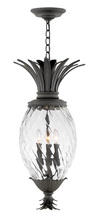 Hinkley 2122MB - Hinkley Lighting Plantation Series 2122MB Exterior Hanging Lantern