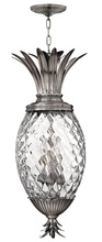 Hinkley 2222PL - Hinkley Lighting Plantation Series 2222PL Pendant/Lantern