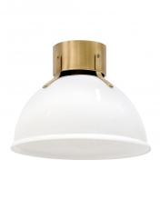 Hinkley 3481HB-CO - Hinkley Lighting Argo Series 3481HB-CO Flush-Mount