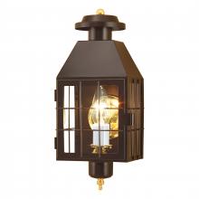 ELK Home 1059-BR-CL - American Heritage 16.5'' High 1-Light Outdoor Sconce - Bronze